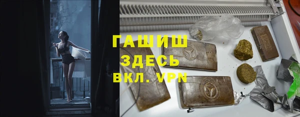 гидра Арсеньев