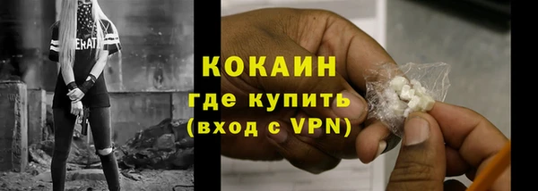 тгк Дмитриев