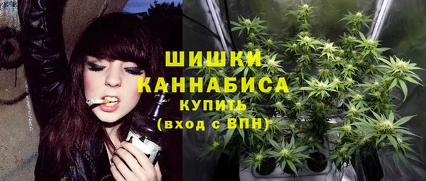 твердый Армянск