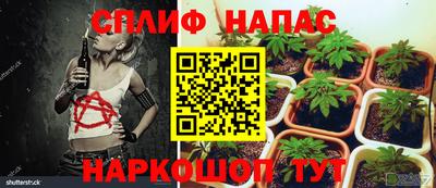 прущая мука Беслан