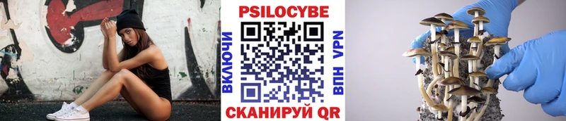 Галлюциногенные грибы MAGIC MUSHROOMS  Кировск 