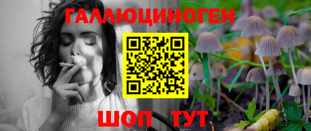 Кировск  Галлюциногенные грибы мухоморы  Псилоцибиновые грибы Cubensis  Вход с VPN 