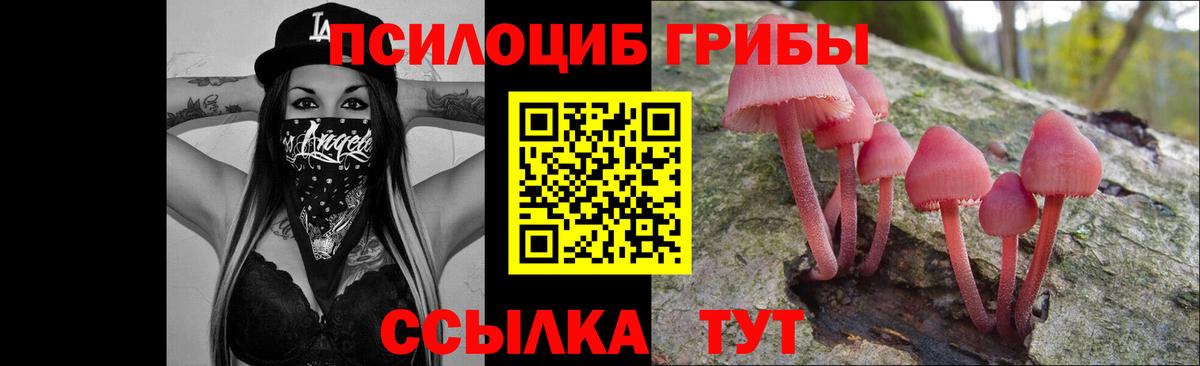 Псилоцибиновые грибы мухоморы Кировск